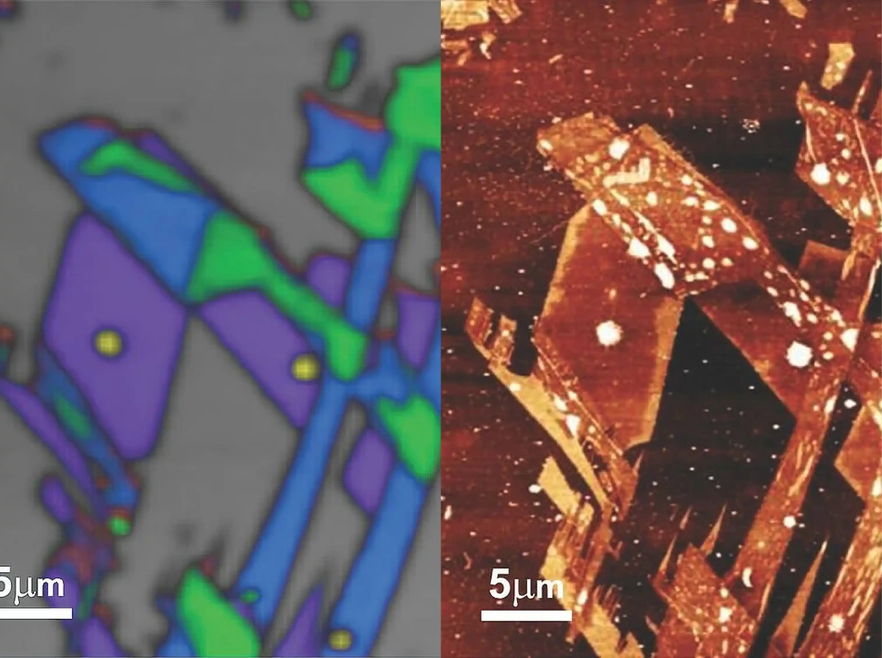 Academia and Research | UAE